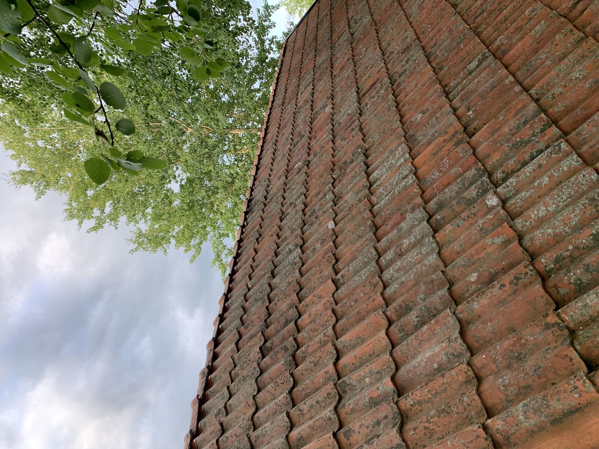 Roof Torpet by JB Build and Fix Ltd, Dorset