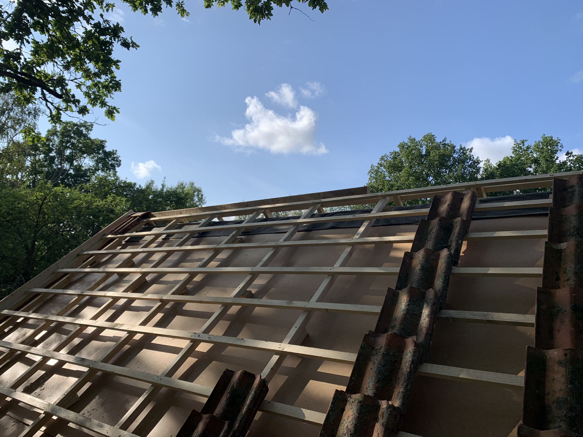 Roof Torpet by JB Build and Fix Ltd, Dorset