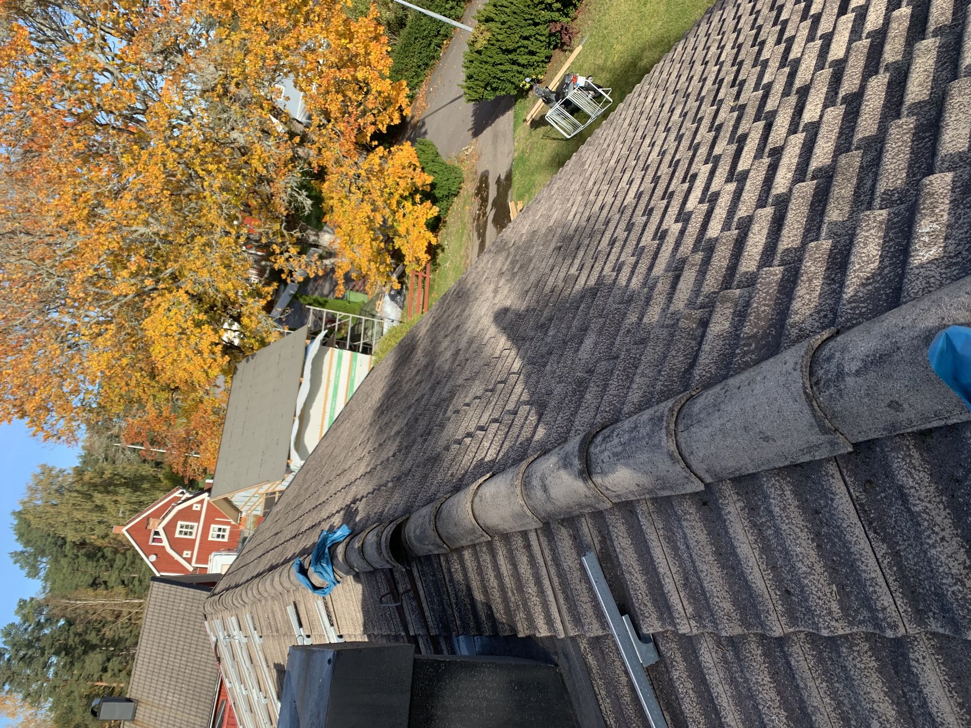 Roof Washing Ulrika by JB Build and Fix Ltd, Dorset