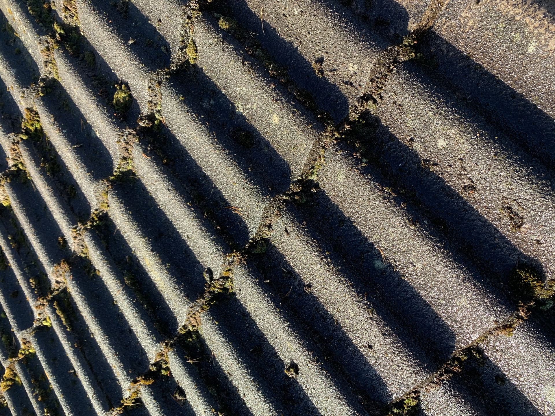 Roof Washing Ulrika by JB Build and Fix Ltd, Dorset