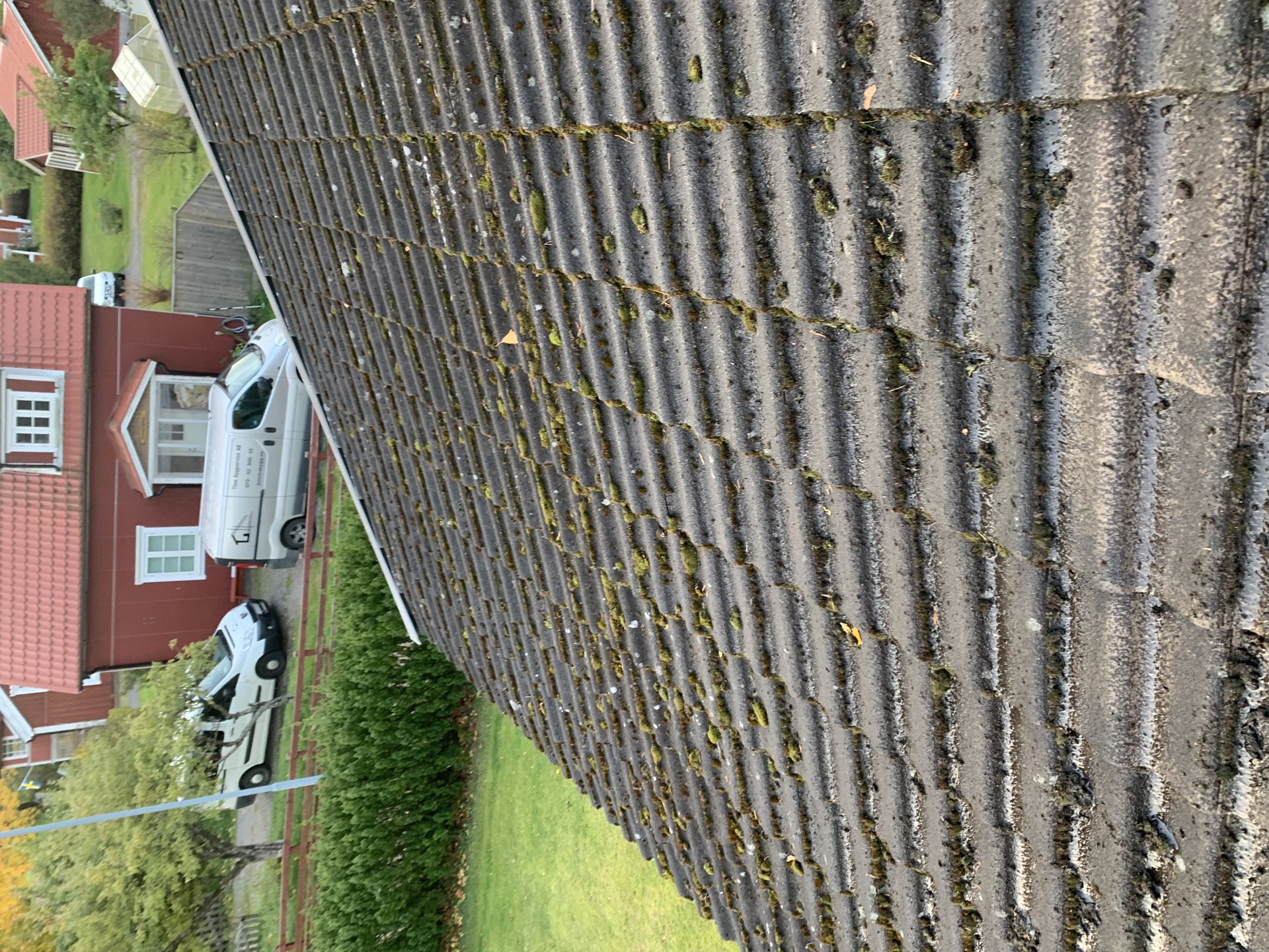 Roof Washing Ulrika by JB Build and Fix Ltd, Dorset